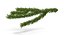 Christmas Fir Branch 3