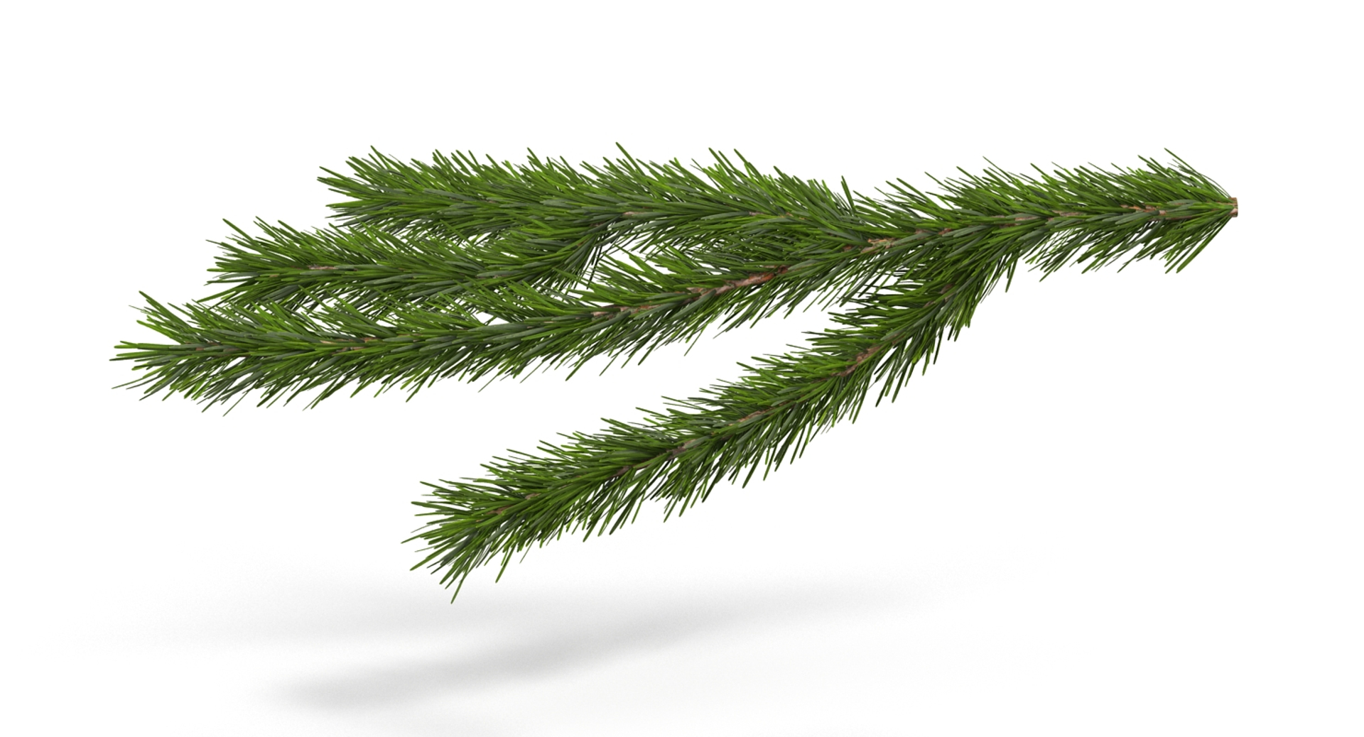 3d christmas fir branch 3 https://p.turbosquid.com/ts-thumb/rF/PG1i9q/d1pLYFmc/christmastree/jpg/1476340713/1920x1080/turn_fit_q99/bc05eb23f1ad7b0c3c3926dd7c5715df9cdaaddd/christmastree-1.jpg