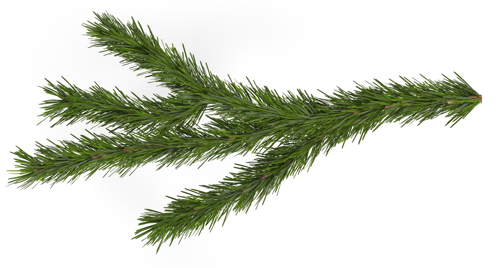 3d christmas fir branch 3 https://p.turbosquid.com/ts-thumb/rF/PG1i9q/ffaZe10C/christmastree_0080/jpg/1476341030/1920x1080/fit_q87/0b91211763457e1c73f863458d1a1d49842c247e/christmastree_0080.jpg