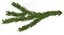 Christmas Fir Branch 3