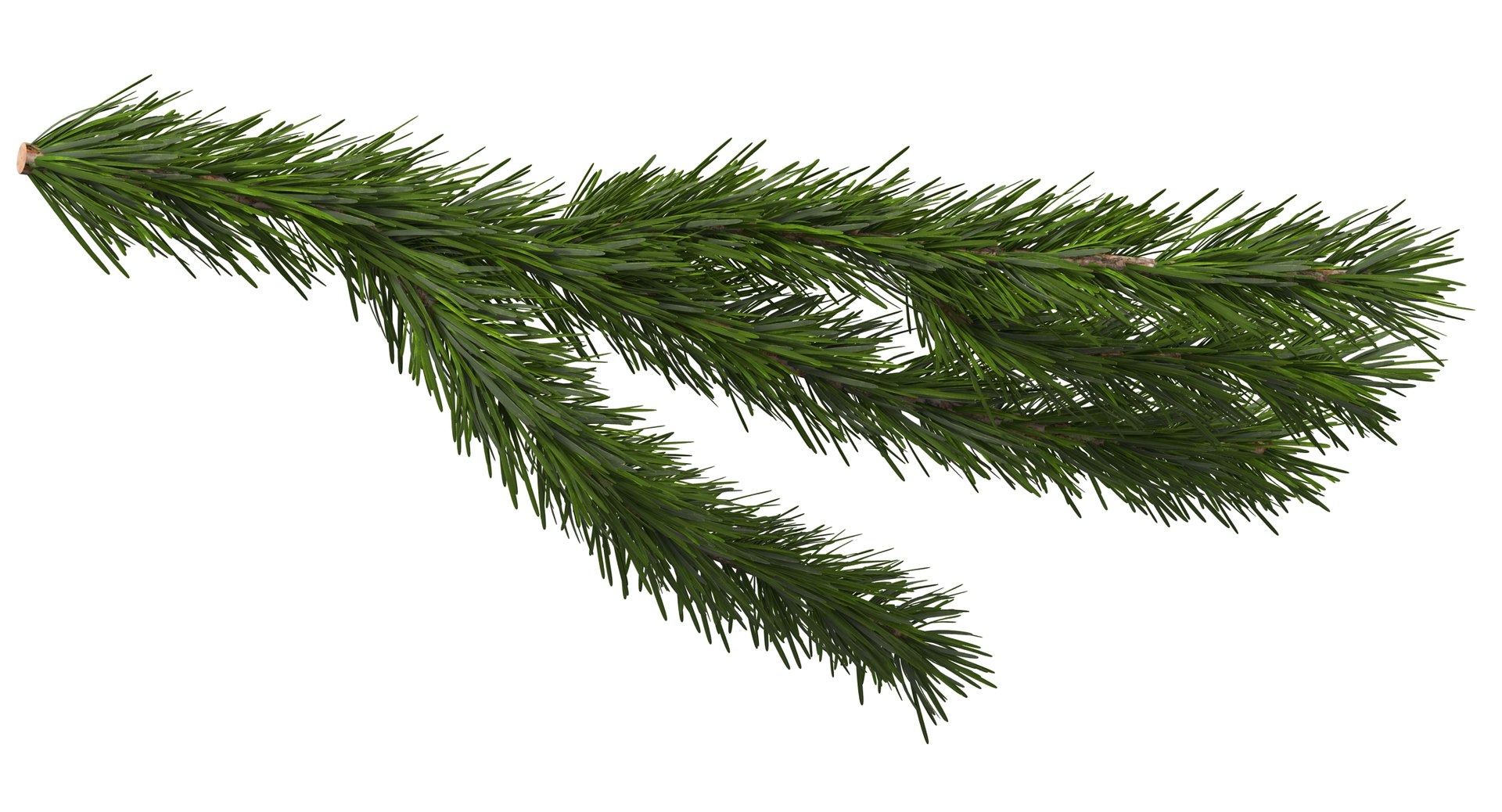 3d christmas fir branch 3 https://p.turbosquid.com/ts-thumb/rF/PG1i9q/pfTqsfv7/christmastree_0073/jpg/1476341030/1920x1080/fit_q87/a95b29c05816da1dd42be1893fab5550fe9c43a1/christmastree_0073.jpg