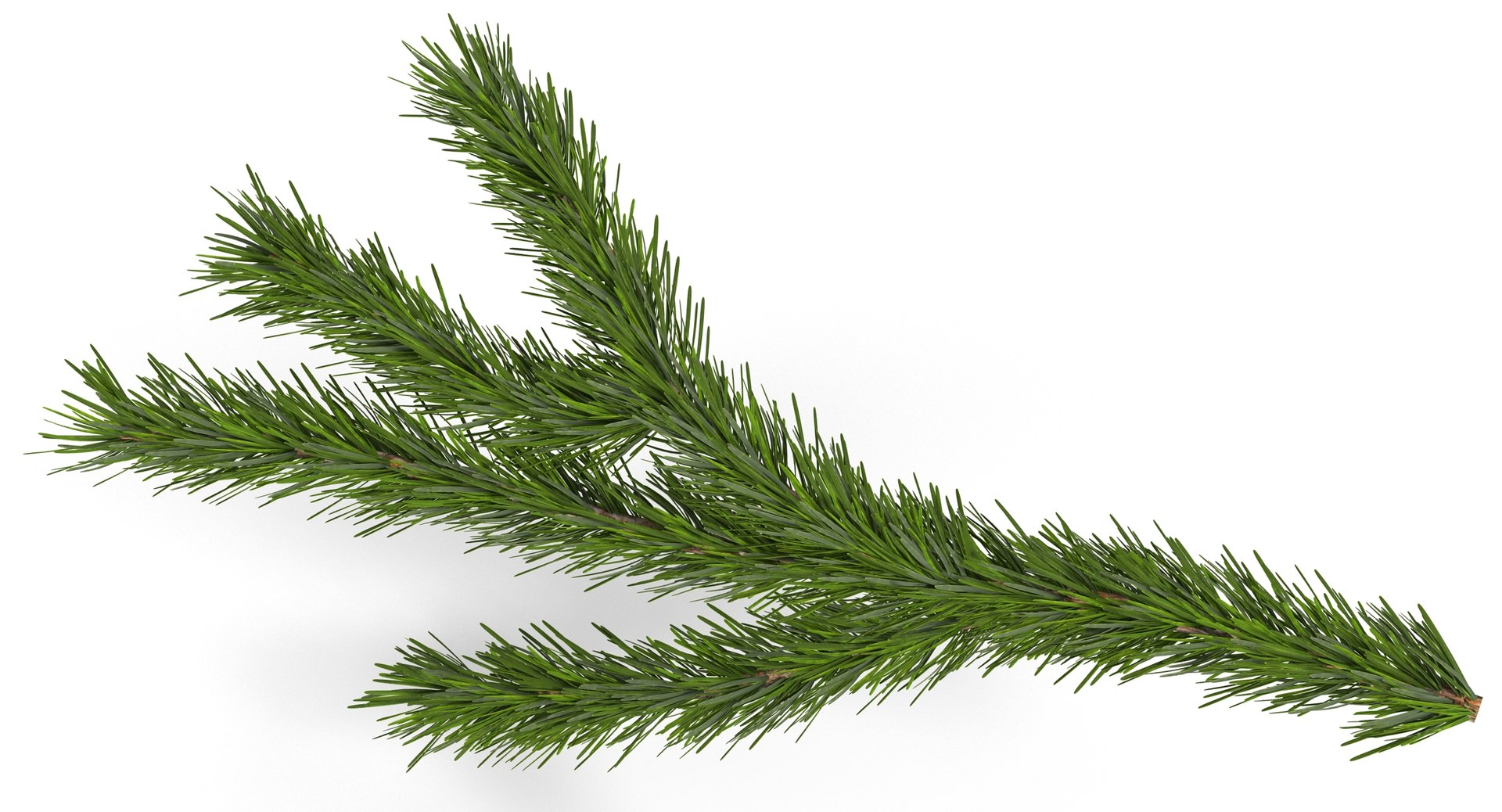3d christmas fir branch 3 https://p.turbosquid.com/ts-thumb/rF/PG1i9q/vDaf5UKq/christmastree_0076/jpg/1476341030/1920x1080/fit_q87/b191e34236f48a0c502845427058149f3dd74f0d/christmastree_0076.jpg