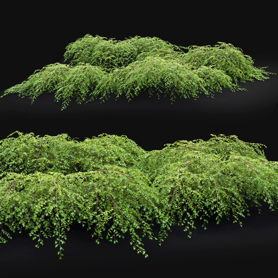 Bush Shrub Nature 3D - TurboSquid 1673431