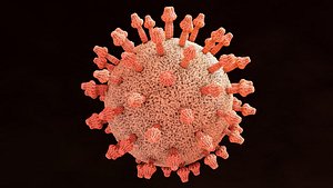 covid 19 virus 3D model