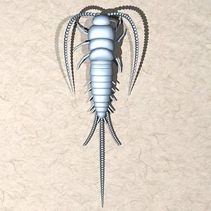 3d model silverfish insect