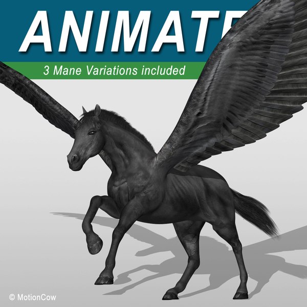 black looped flying max