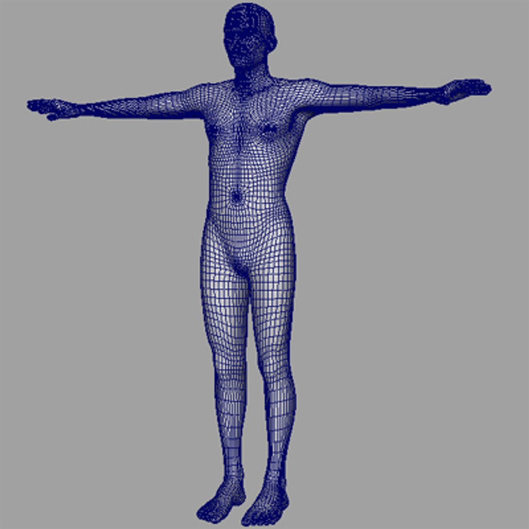 3d Human Male Model