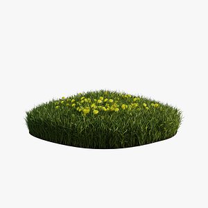 Dandelion Grass 3D