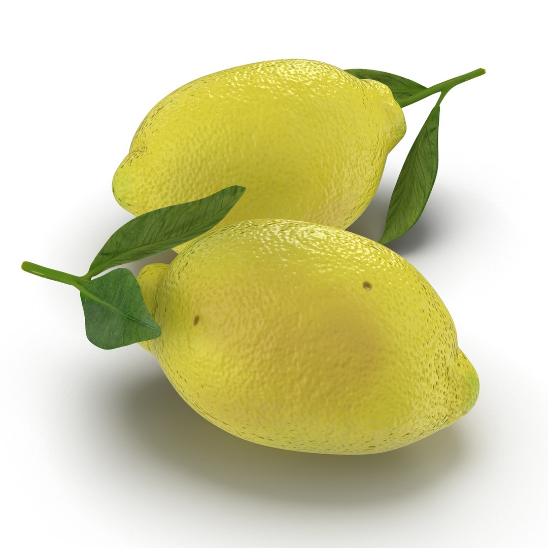 Lemon 2 3D model preview