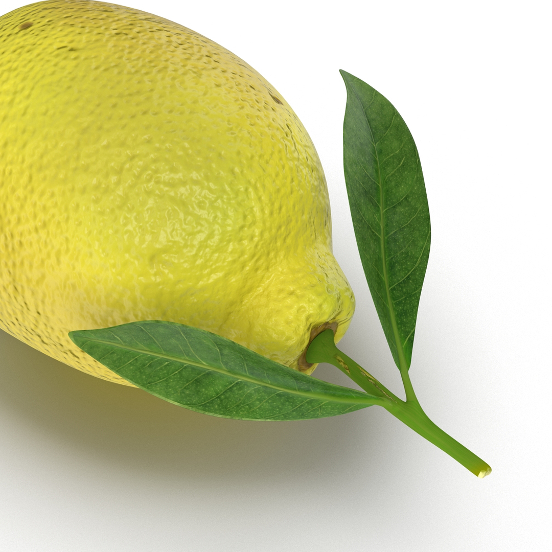 3d lemon 2 model