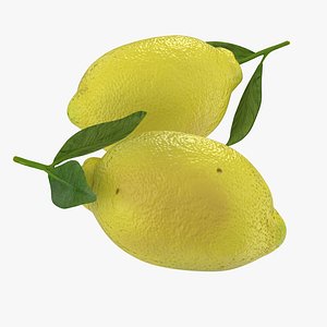 3d lemon 2 model
