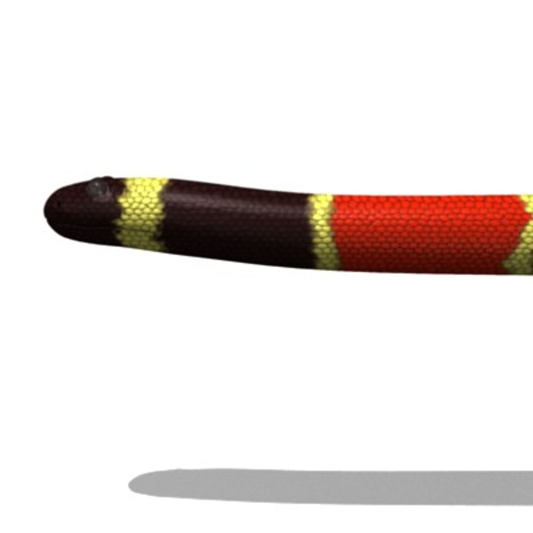 3d Model Snakes Cobra Python Rattlesnake