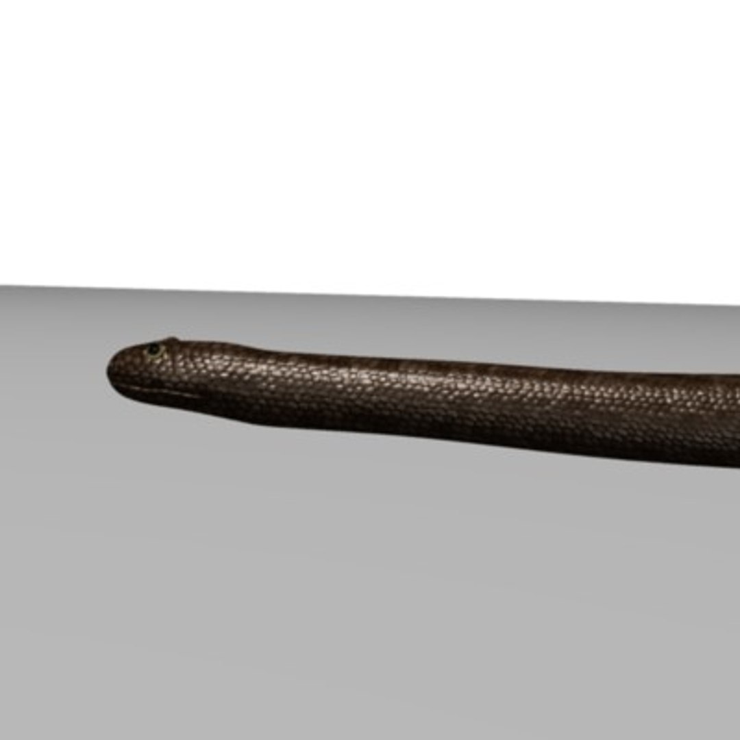 3d Model Snakes Cobra Python Rattlesnake