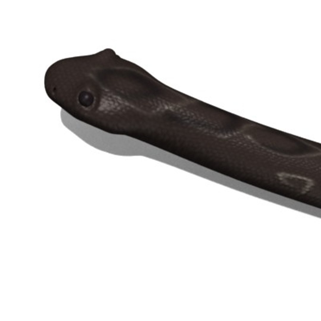 3d Model Snakes Cobra Python Rattlesnake
