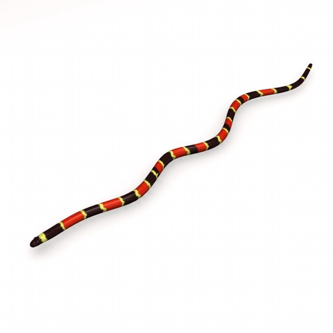3d Model Snakes Cobra Python Rattlesnake