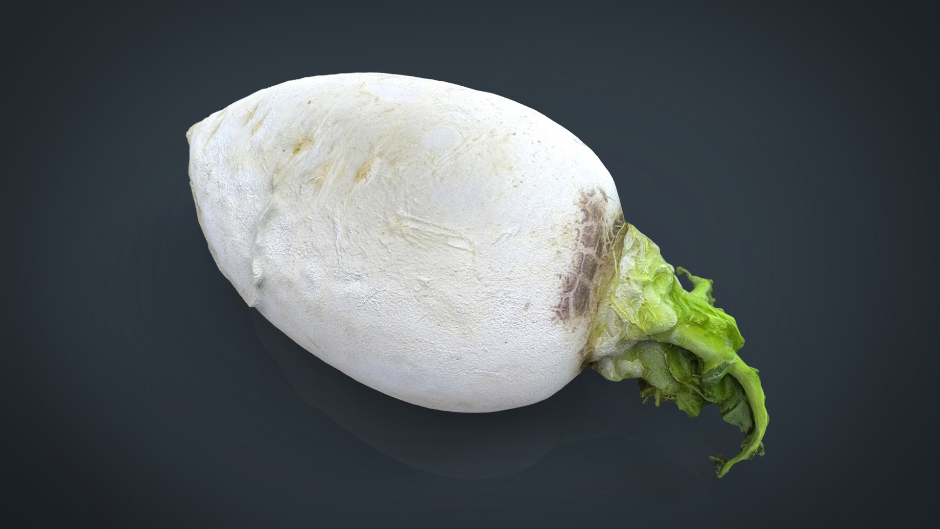 3d turnip