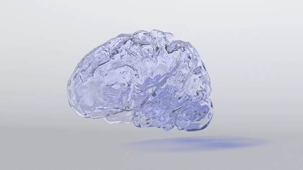 brain glass cool obj free