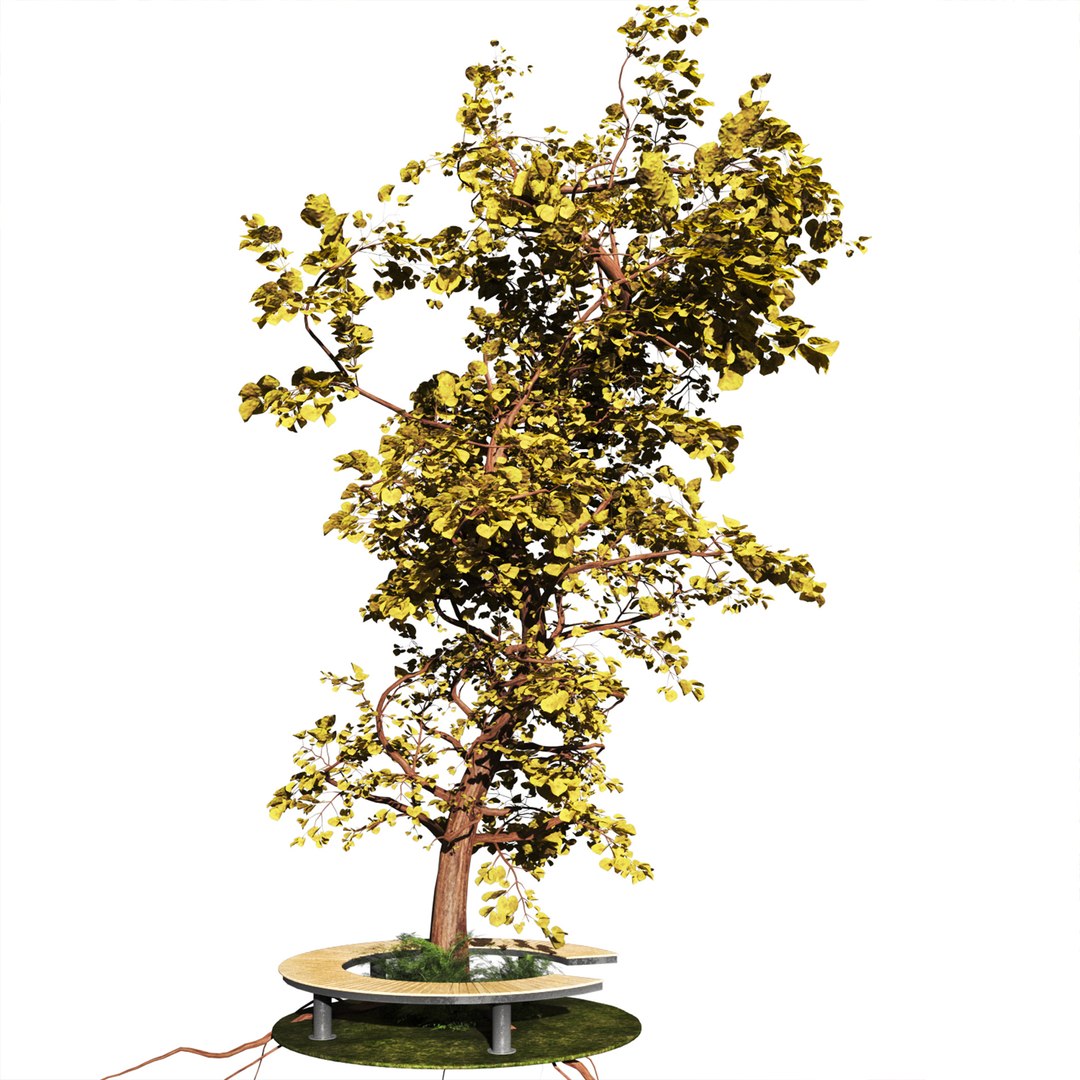 Trees Set 3D - TurboSquid 2118266