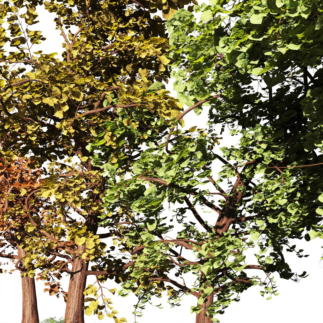 Trees Set 3D - TurboSquid 2118266