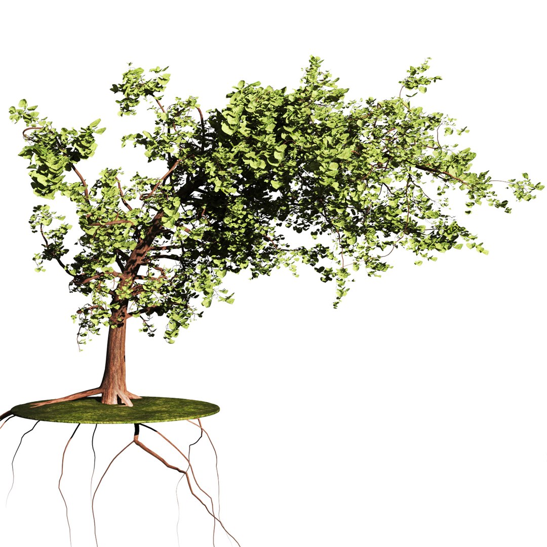 Trees Set 3D - TurboSquid 2118266