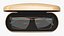 Glasses 02 with a Case