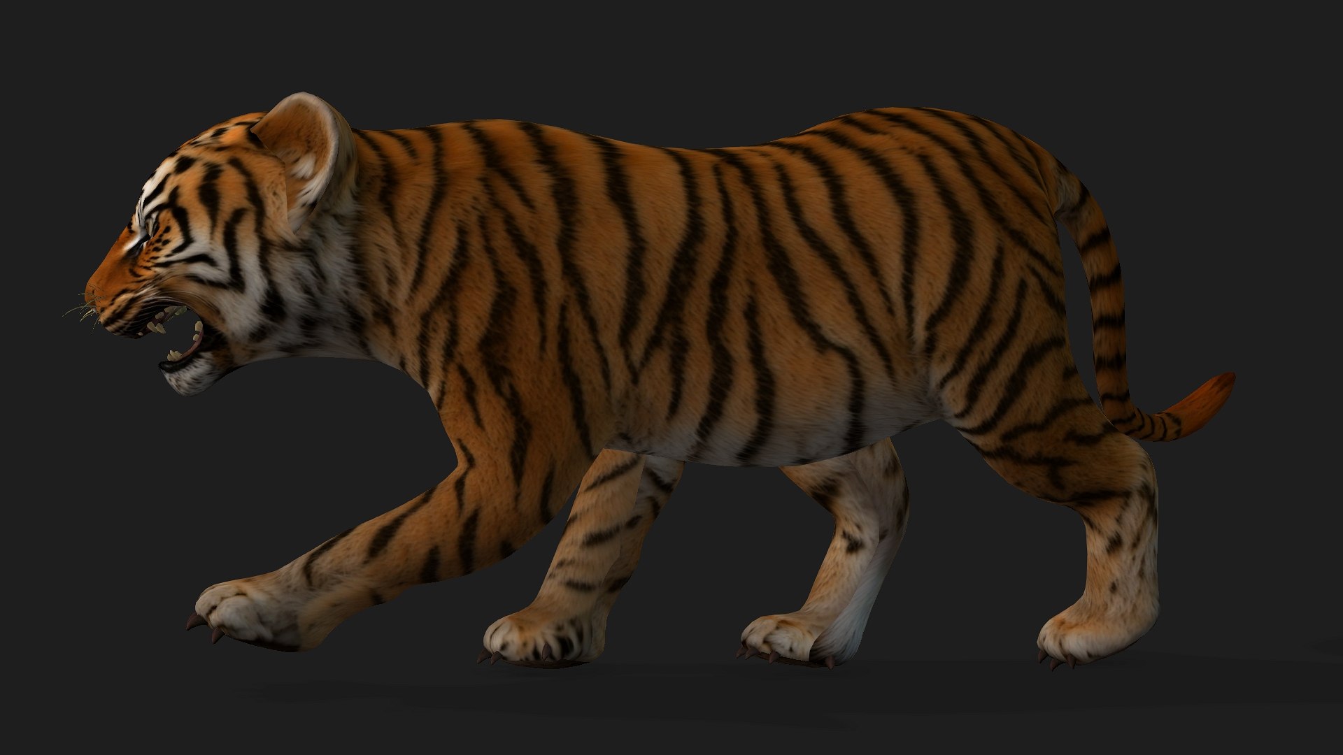 Tiger BaBy-A1 model https://p.turbosquid.com/ts-thumb/rG/LYs0eS/0e/preview1/jpg/1755248032/1920x1080/fit_q87/eca1705fbb9653592e5052f1b9db1aa7377634a4/preview1.jpg