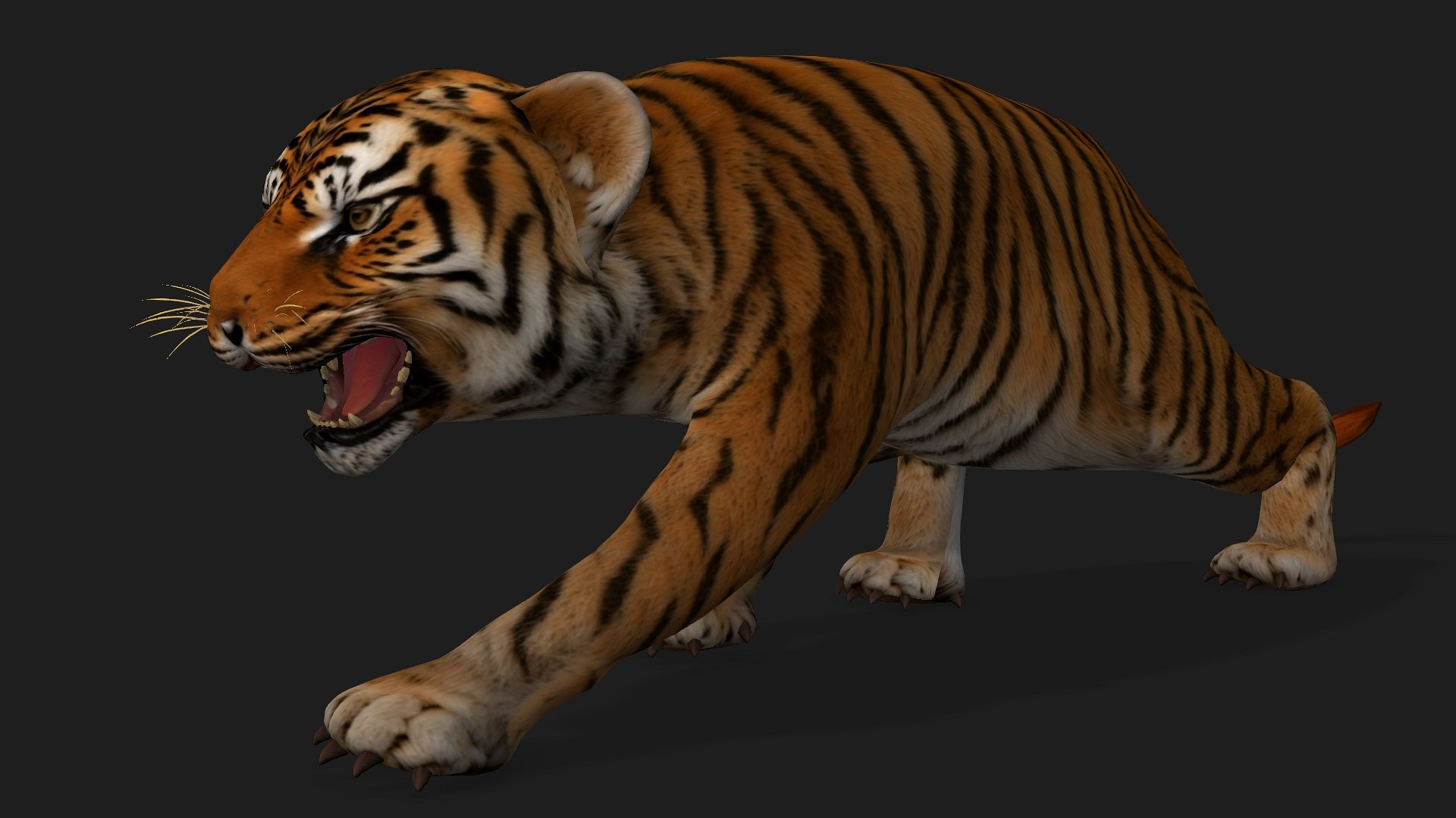 Tiger BaBy-A1 model https://p.turbosquid.com/ts-thumb/rG/LYs0eS/0l/preview7/jpg/1755248034/1920x1080/fit_q87/5911d35aad54b5db02d737c090ca85e7ff7b7904/preview7.jpg