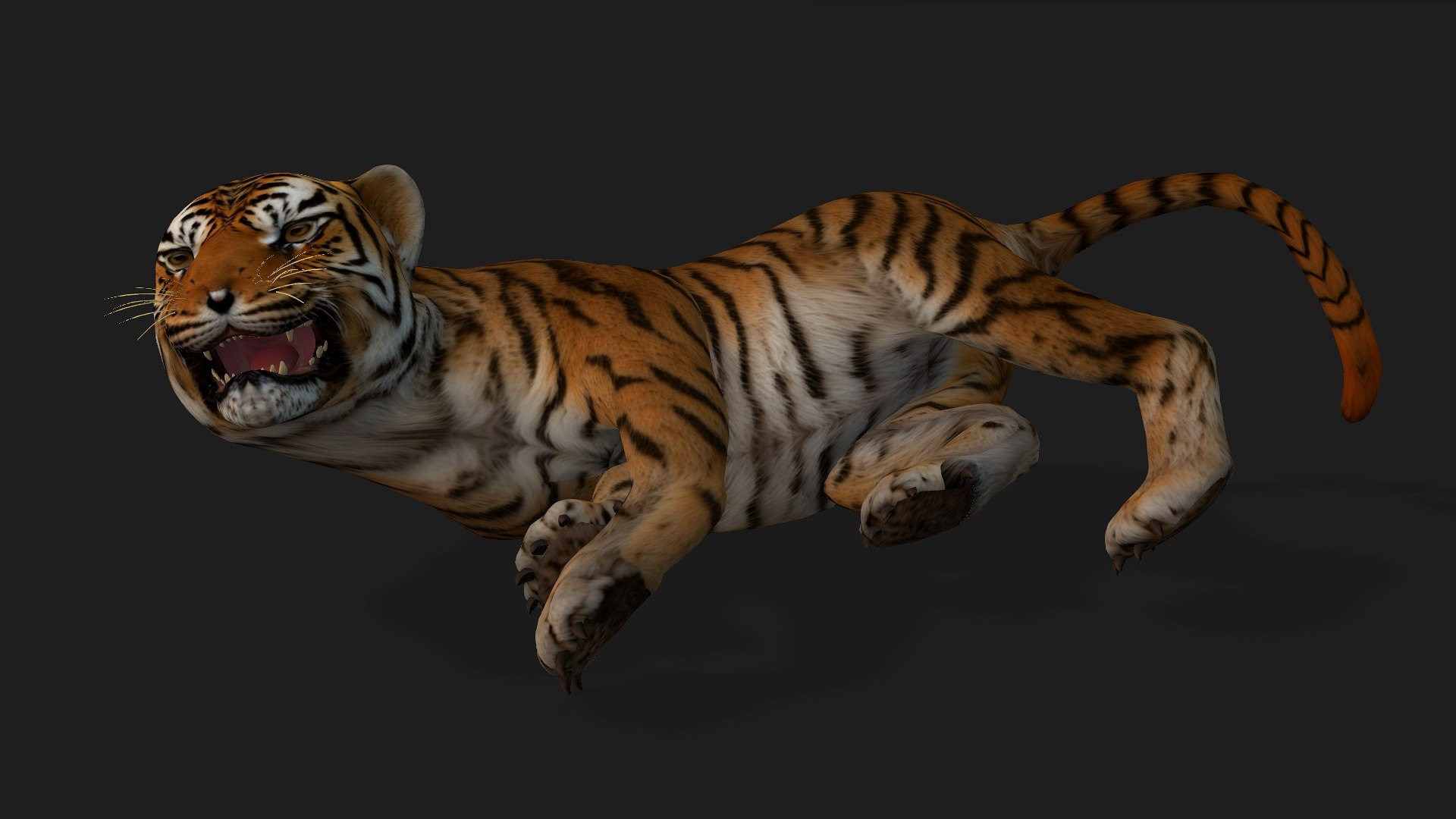 Tiger BaBy-A1 model https://p.turbosquid.com/ts-thumb/rG/LYs0eS/B7/preview11/jpg/1755248037/1920x1080/fit_q87/6e22812eddc9c17f9746a8eeddebb112f8516287/preview11.jpg