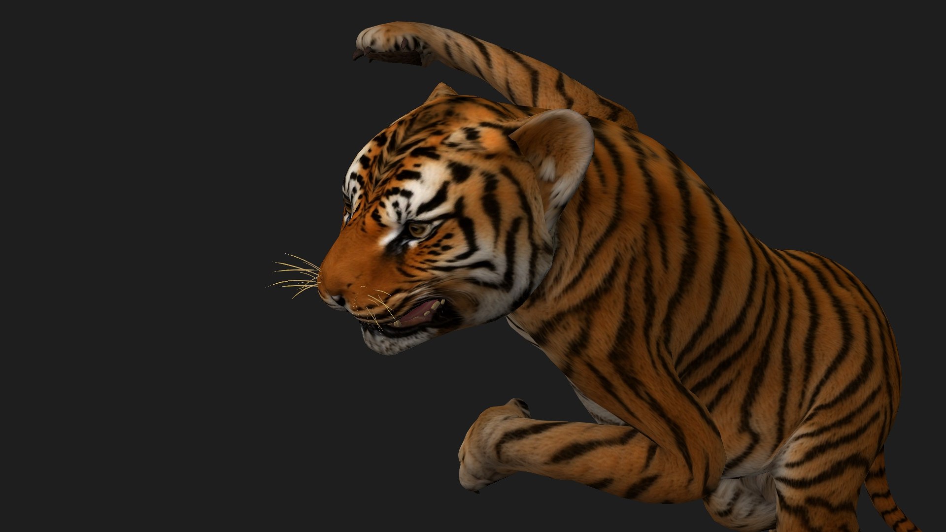 Tiger BaBy-A1 model https://p.turbosquid.com/ts-thumb/rG/LYs0eS/CY/preview8/jpg/1755248036/1920x1080/fit_q87/f77495e01db6b17f2dc3d79984fe29e24ff542e3/preview8.jpg