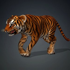 Tiger BaBy-A1 model