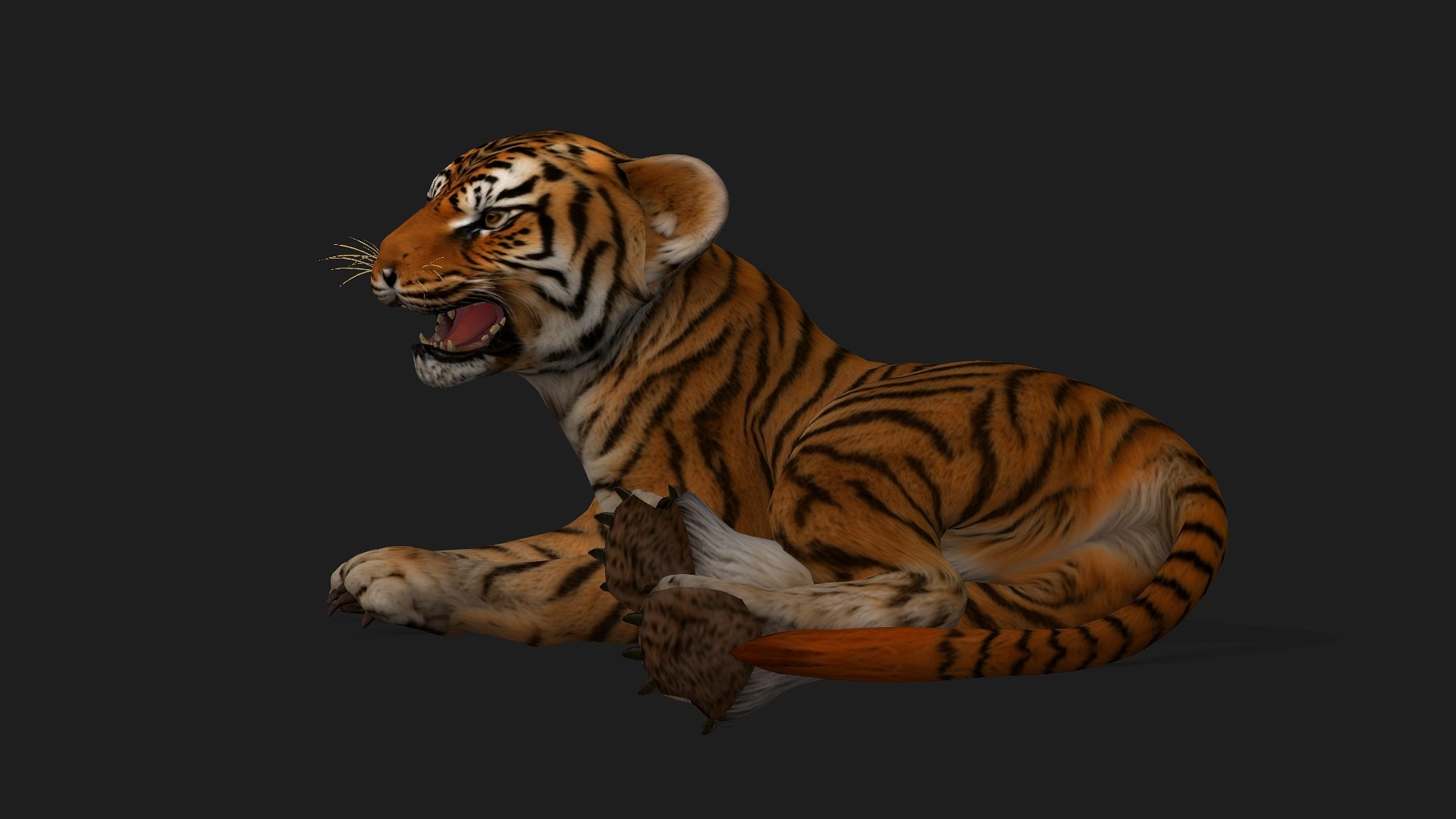Tiger BaBy-A1 model https://p.turbosquid.com/ts-thumb/rG/LYs0eS/N4/preview14/jpg/1755248039/1920x1080/fit_q87/2df5aab0b08b2fbae29feb88ca1365a03ce37e5c/preview14.jpg