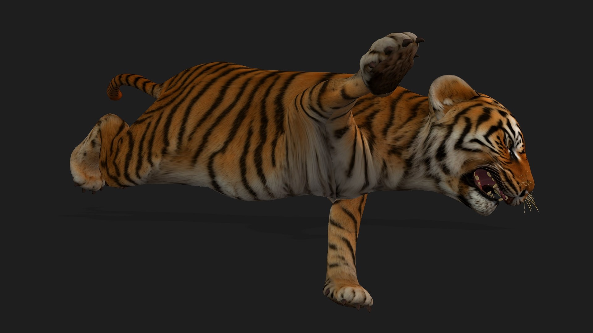 Tiger BaBy-A1 model https://p.turbosquid.com/ts-thumb/rG/LYs0eS/Tj/preview5/jpg/1755248033/1920x1080/fit_q87/fde7bf4f6eddf3aa8ad84fc6608be2d96fe700c3/preview5.jpg