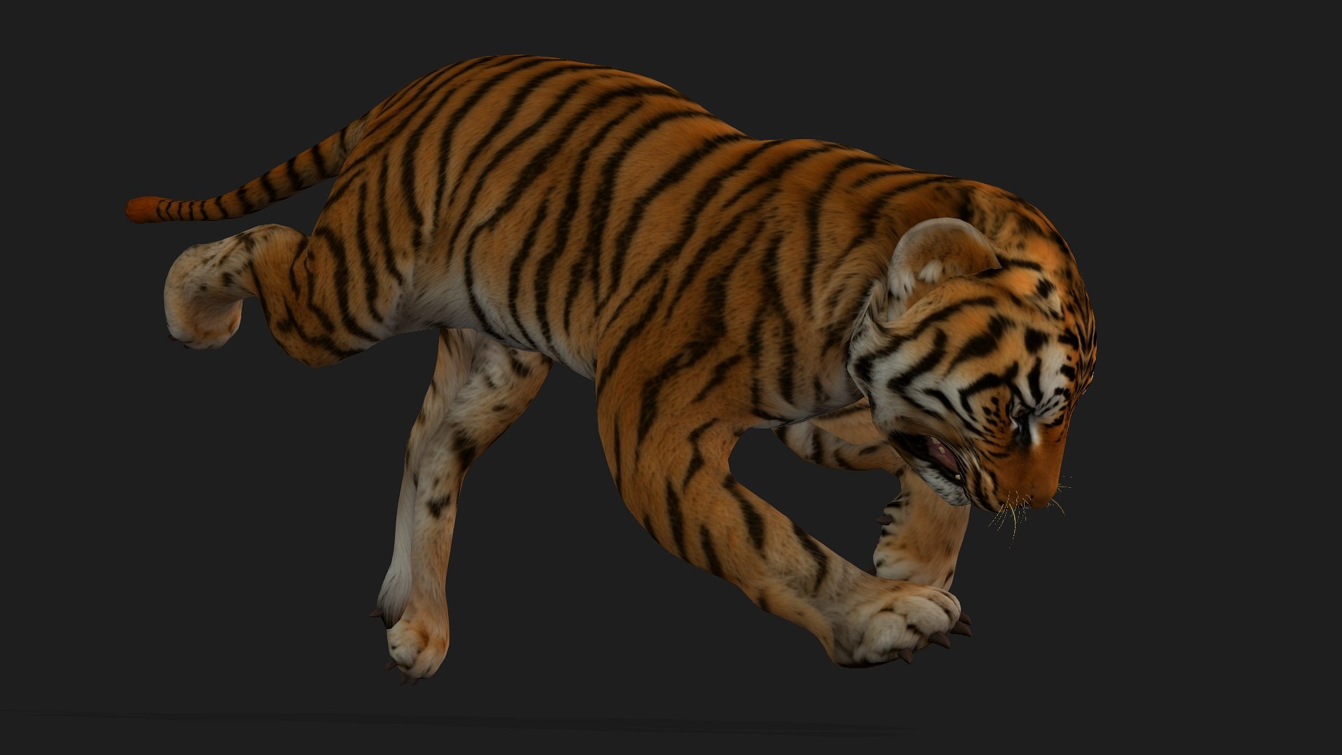Tiger BaBy-A1 model https://p.turbosquid.com/ts-thumb/rG/LYs0eS/Ue/preview13/jpg/1755248038/1920x1080/fit_q87/dc4f412608ae2335e0b77206916e53633d26f711/preview13.jpg