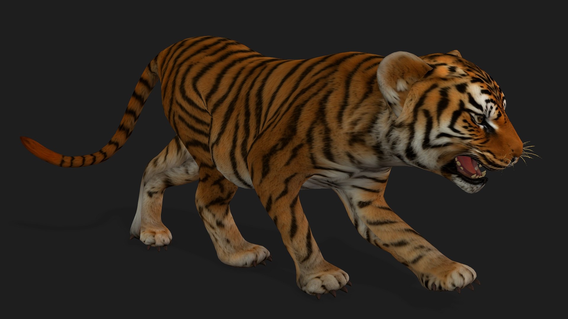 Tiger BaBy-A1 model https://p.turbosquid.com/ts-thumb/rG/LYs0eS/V4/preview2/jpg/1755248032/1920x1080/fit_q87/86f3171d9302f2ad326eea2776ed7dbb7f3a6d1b/preview2.jpg