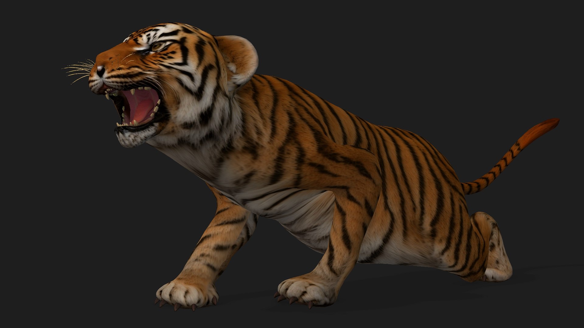 Tiger BaBy-A1 model https://p.turbosquid.com/ts-thumb/rG/LYs0eS/VM/preview10/jpg/1755248036/1920x1080/fit_q87/a9f3d291f8ed237271c9f1e4fe3bfa658d646174/preview10.jpg