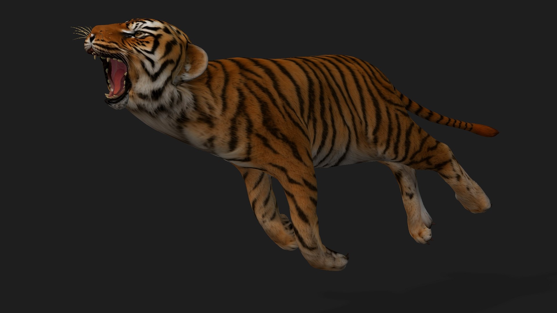 Tiger BaBy-A1 model https://p.turbosquid.com/ts-thumb/rG/LYs0eS/aT/preview12/jpg/1755248038/1920x1080/fit_q87/720817f8c70e81dfa24e03573849c26502c3c72a/preview12.jpg