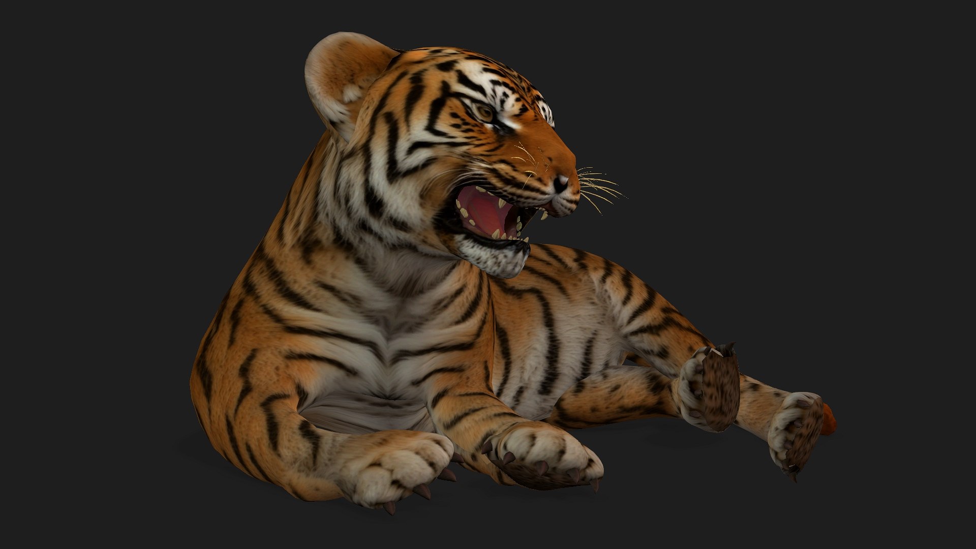 Tiger BaBy-A1 model https://p.turbosquid.com/ts-thumb/rG/LYs0eS/ar/preview15/jpg/1755248041/1920x1080/fit_q87/3c00a4dfb2df3a6a316b088b7b4a6a3541e65226/preview15.jpg