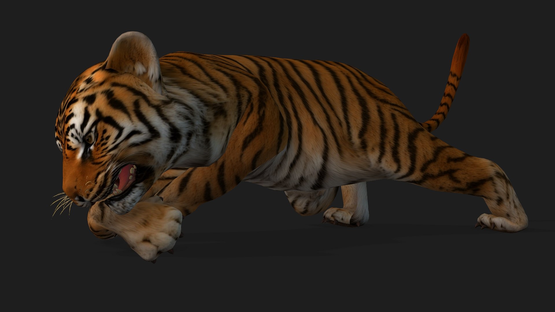 Tiger BaBy-A1 model https://p.turbosquid.com/ts-thumb/rG/LYs0eS/ay/preview6/jpg/1755248035/1920x1080/fit_q87/6f36abb122bd0c87fbf9a356c744ad0d31bdac79/preview6.jpg