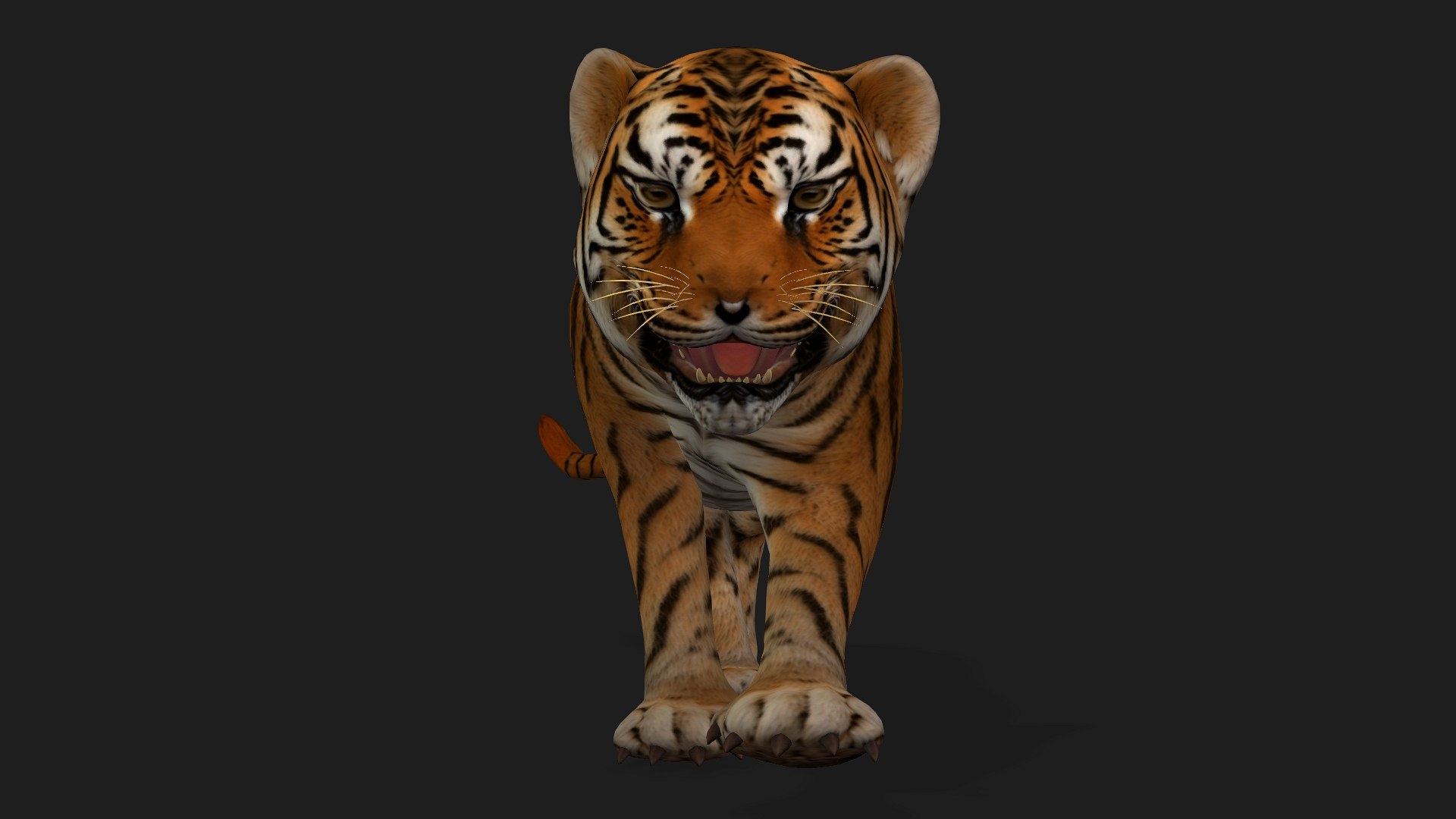 Tiger BaBy-A1 model https://p.turbosquid.com/ts-thumb/rG/LYs0eS/eT/preview4/jpg/1755248033/1920x1080/fit_q87/be6d0d7af9ad8df6ee10a1b01092f4d6685d25cb/preview4.jpg