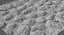 Cobblestone Scanned + Tiled Textures