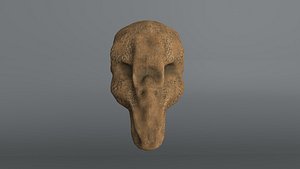 alien skull 3D