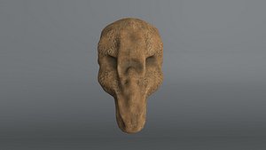 Alien Skull
