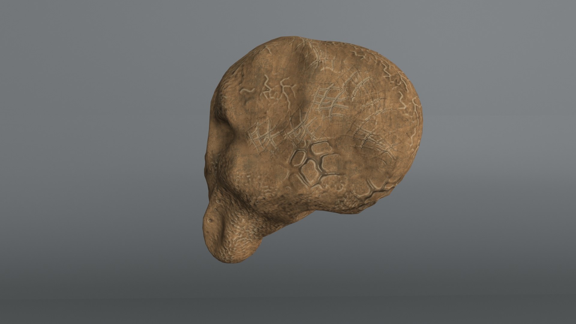 alien skull 3D https://p.turbosquid.com/ts-thumb/rG/fBNzLG/lRnWem9h/pic4/jpg/1594827585/1920x1080/fit_q87/27a624984ef7d93df68671b77b4724dda3b273d1/pic4.jpg