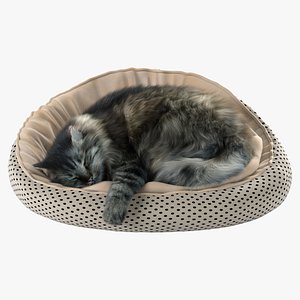 Cat with Fur 3D model