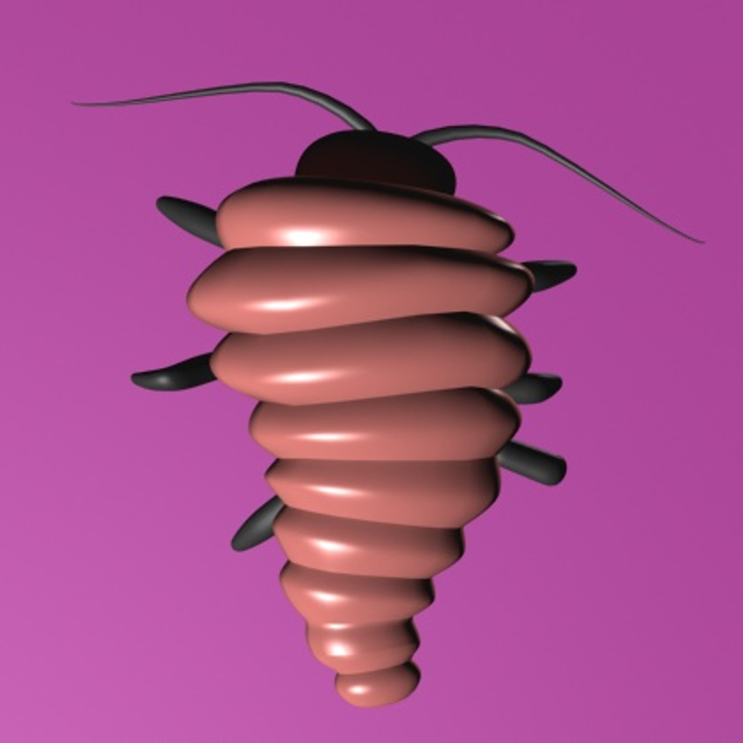 Max Bug Animation