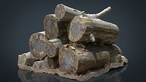 3D realistic wooden logs model