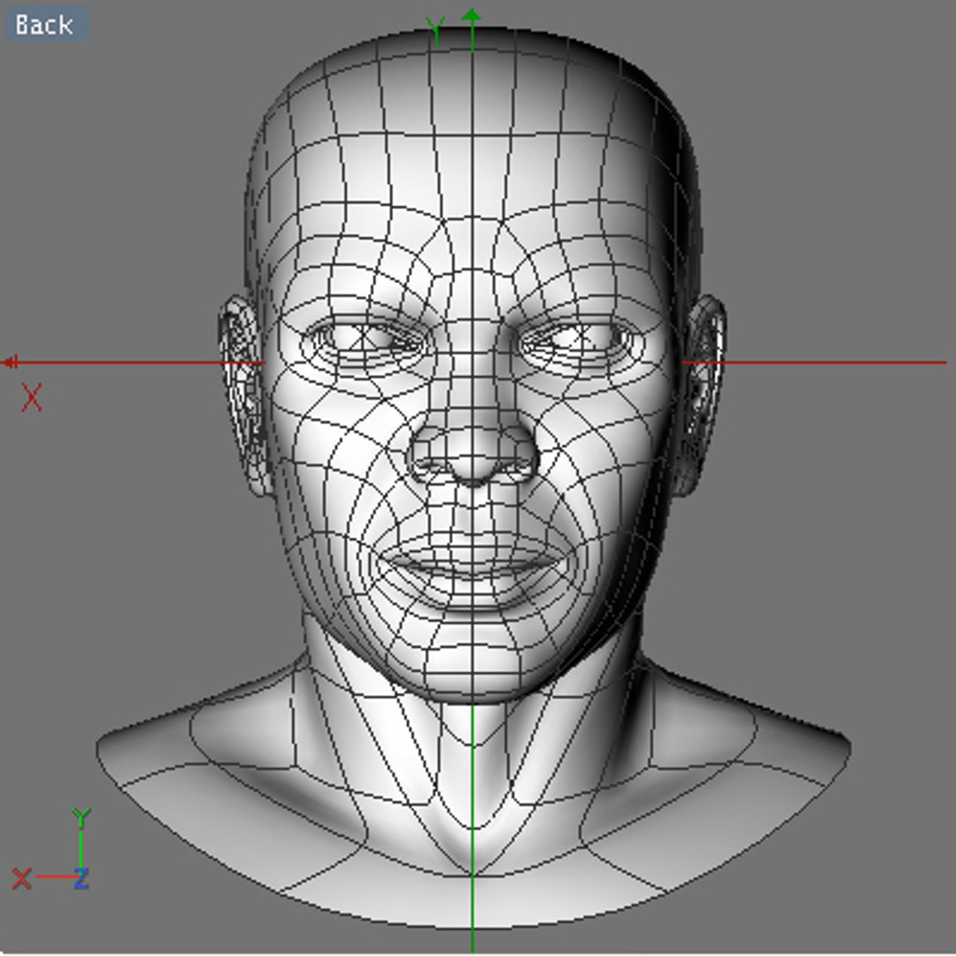 3d Dxf Samuel Human Male Head Reference