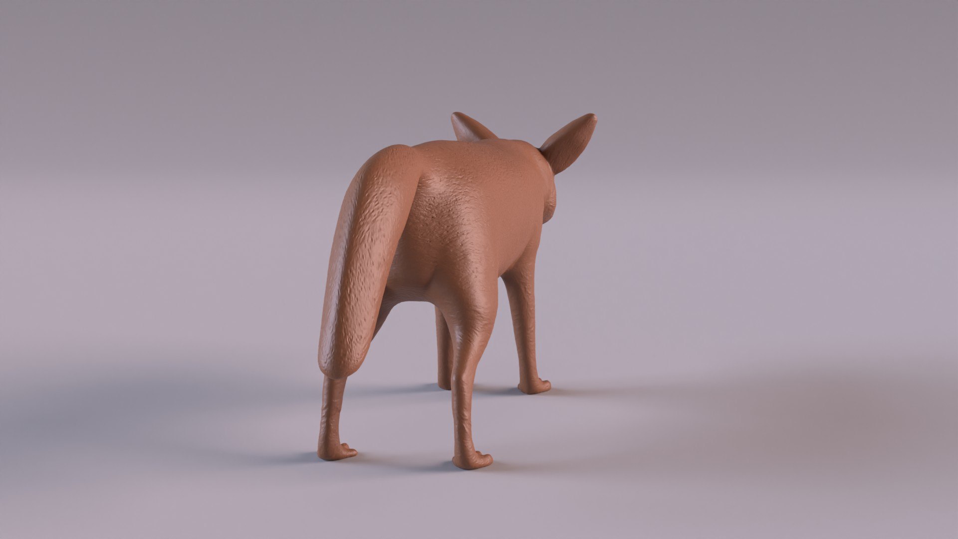 3D Fennec Fox Printable - TurboSquid 2007009