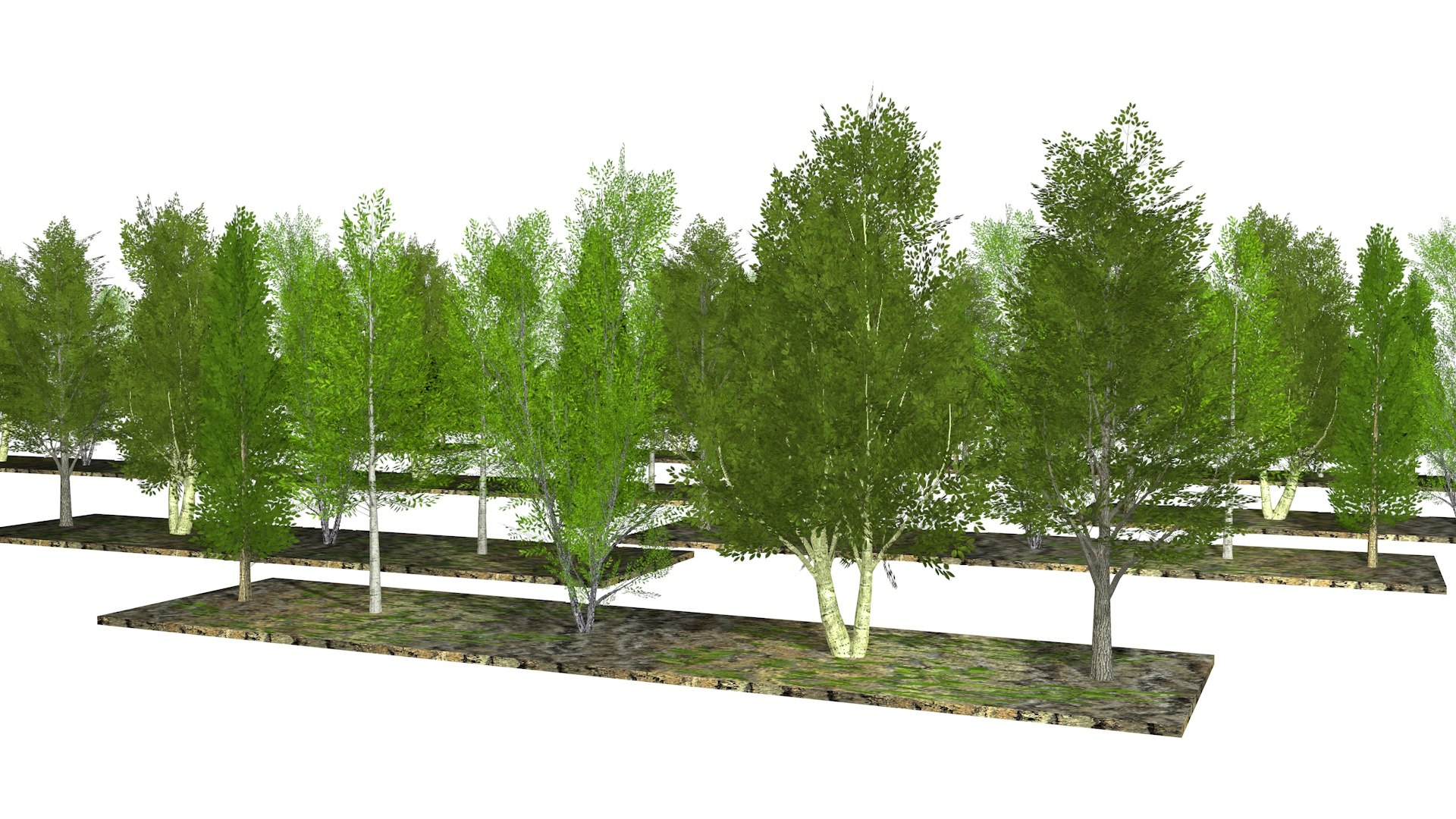 Five low poly trees 2 model https://p.turbosquid.com/ts-thumb/rH/XKwZgI/68/trees7/jpg/1628247443/1920x1080/fit_q87/66526406c438c5c0e08493ae4ce1346997e88b4c/trees7.jpg