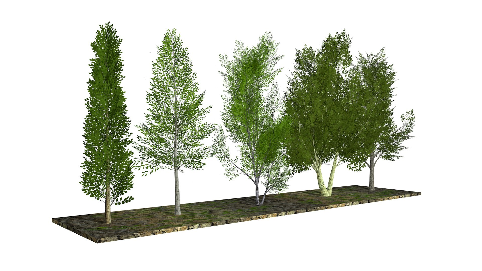 Five low poly trees 2 model https://p.turbosquid.com/ts-thumb/rH/XKwZgI/Qg/trees2/jpg/1628247443/1920x1080/fit_q87/205b18e1ae0b5062488c0c99d5e0ac576963691c/trees2.jpg